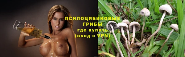 спиды Каменка