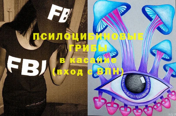 спиды Каменка