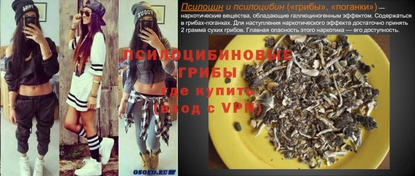 гидропоника Каменногорск