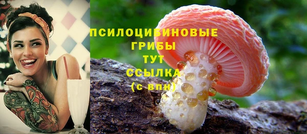 гидропоника Каменногорск