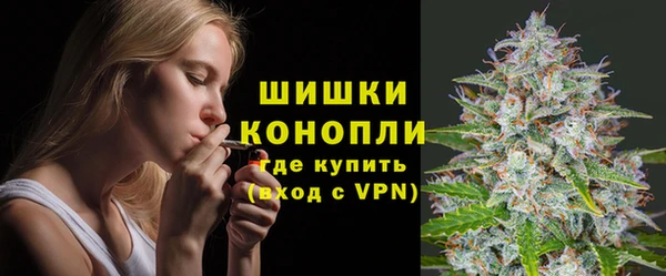 спиды Каменка