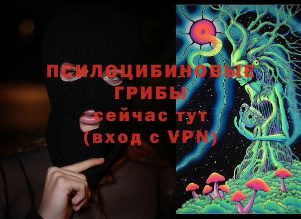 спиды Каменка