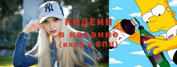 спиды Каменка
