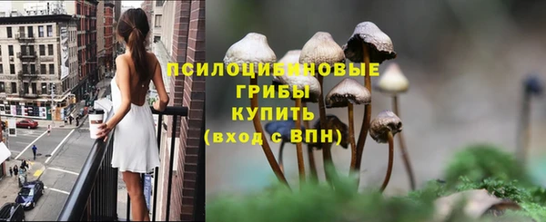 спиды Каменка