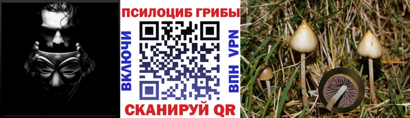 Галлюциногенные грибы ЛСД  omg зеркало  shop официальный сайт  Стерлитамак 