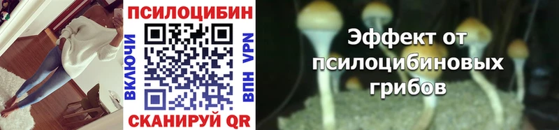Псилоцибиновые грибы Psilocybine cubensis Стерлитамак